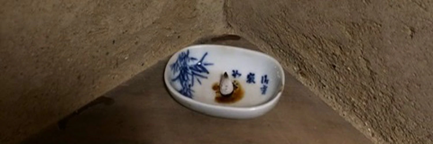 Miles Fitzgerald cover