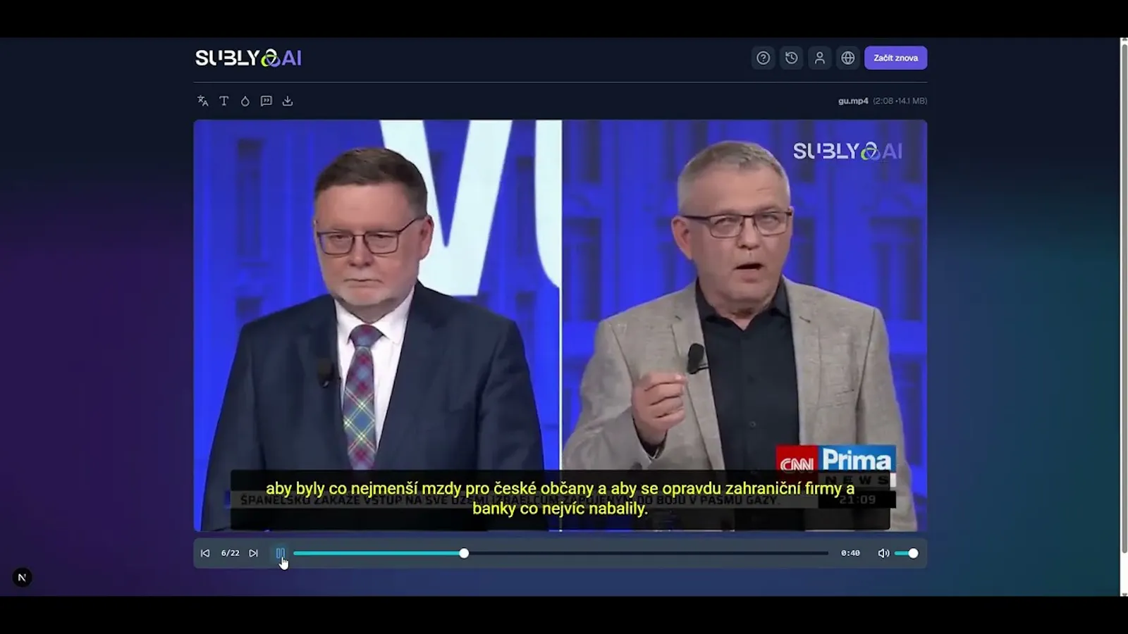 SublyAI screenshot 1 (video preview)