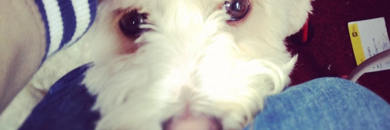 Scott Broughton cover