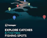 FishAngler - Fishing App media 1