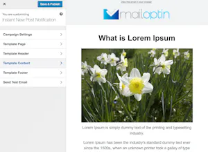 MailOptin gallery image