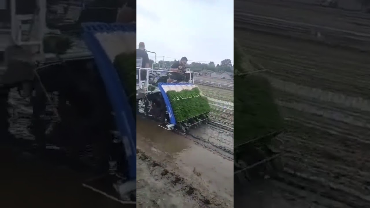 High-speed Rice transplanter (Gasoline) gallery image