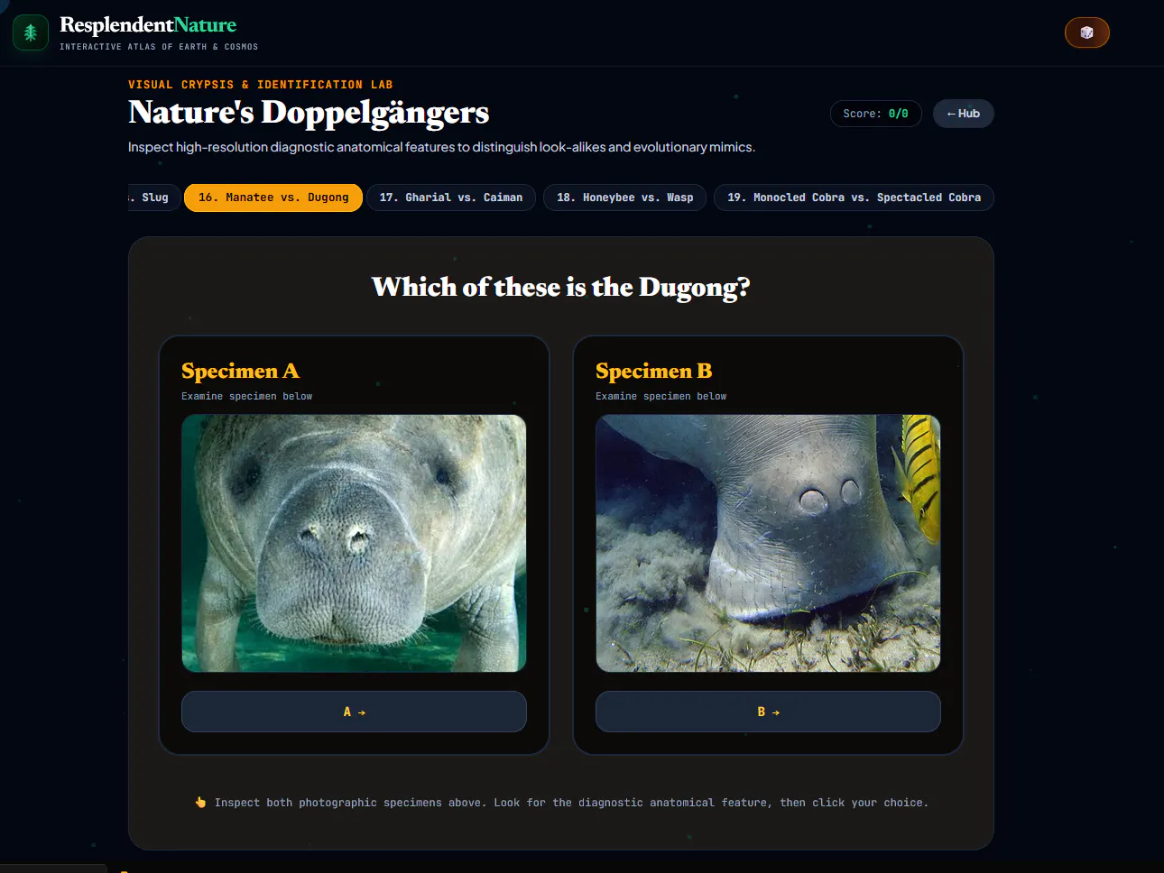 Resplendent Nature gallery image