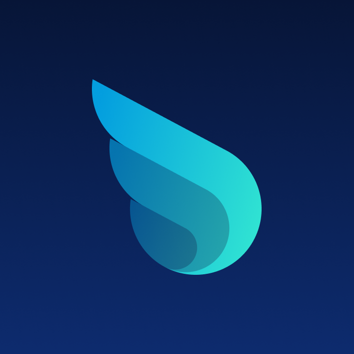 Wiredash