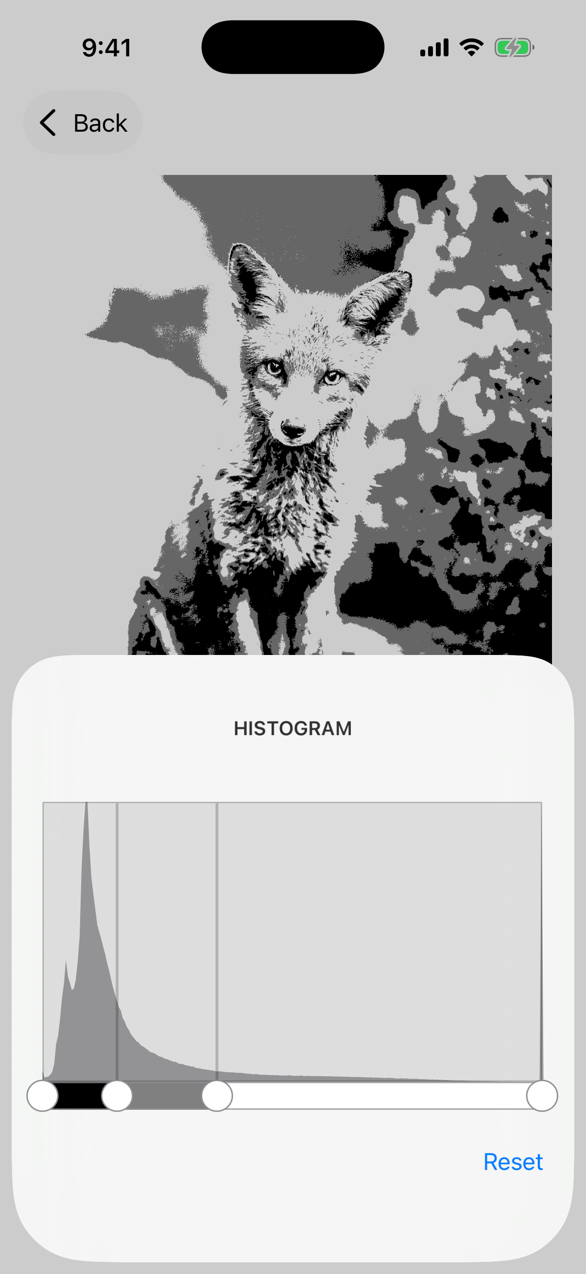 Value Study gallery image