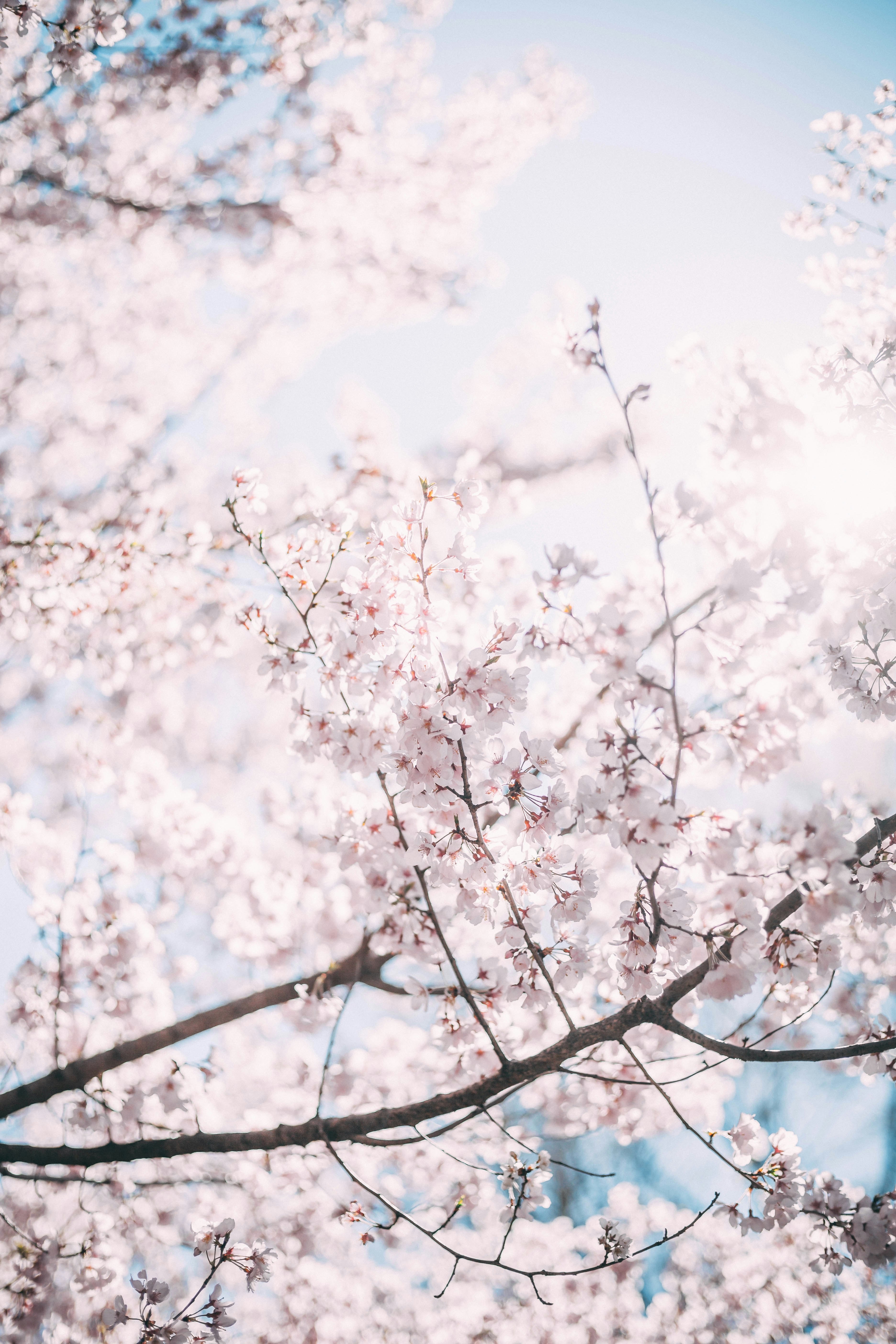 [Ultimate] Photography Advice gallery image