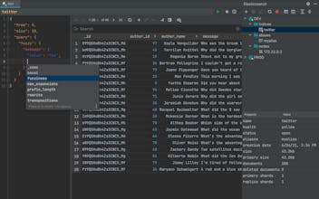 IntelliJ Elasticsearch gallery image