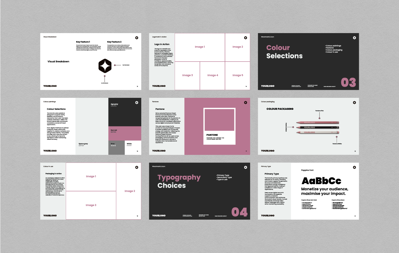 Média Brandision Bustoral - Canva AI - Lignes directrices professionnelles de la marque dans (Canva Illustrator) 2