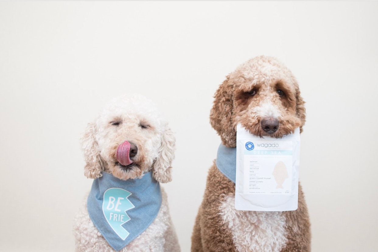 Wagadō gallery image