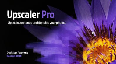 UpscalerPro - AI upscaling desktop app gallery image