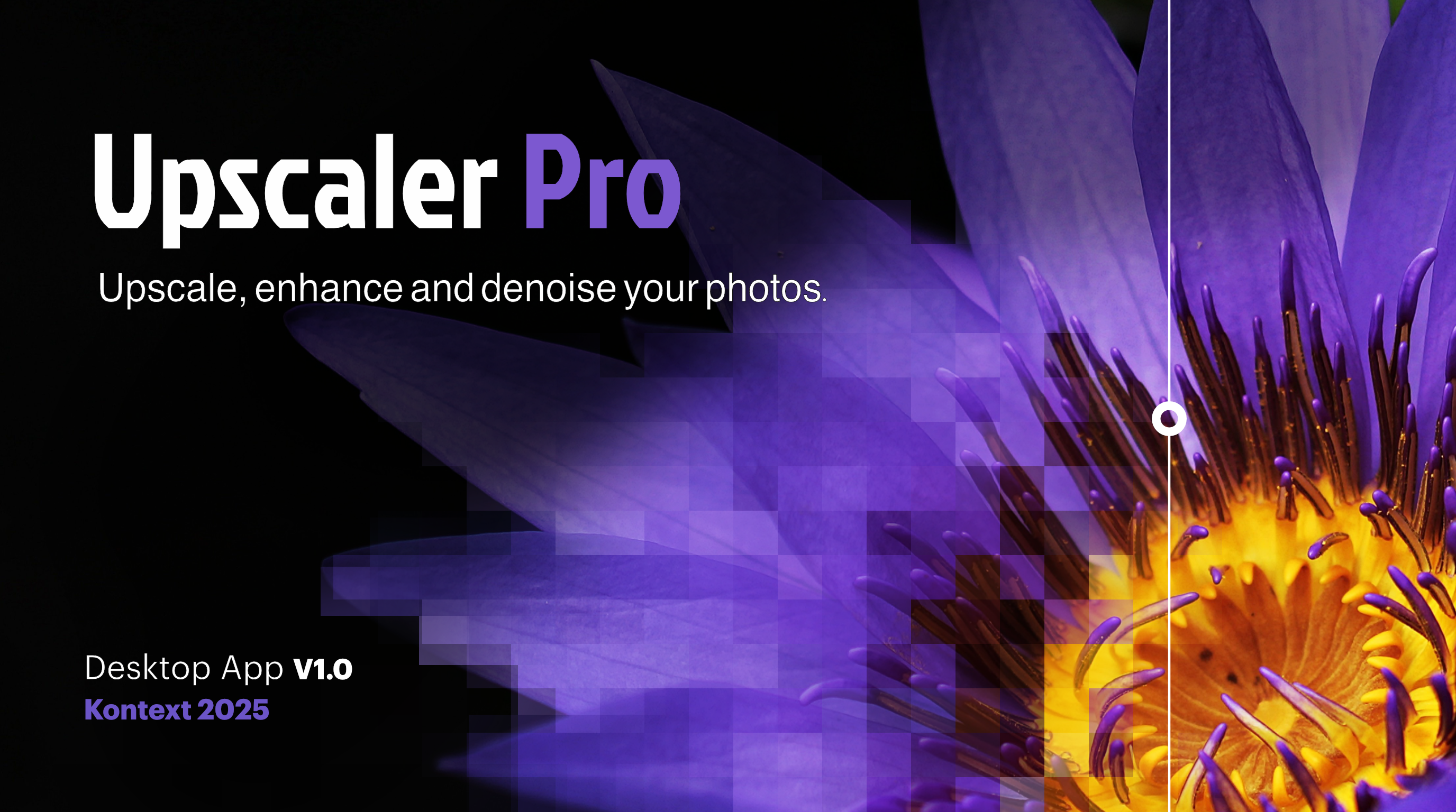 UpscalerPro - AI upscaling desktop app - Main product screenshot demonstrating key features and user interface