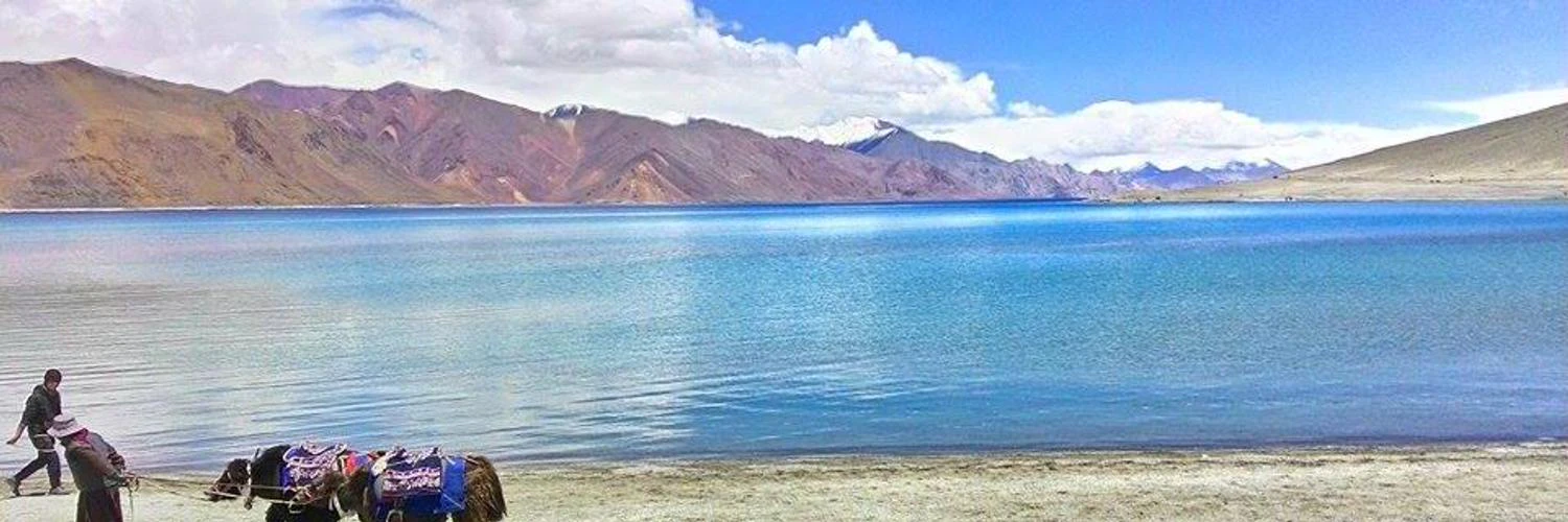 Gyanendra Mishra cover