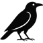 RavenStack