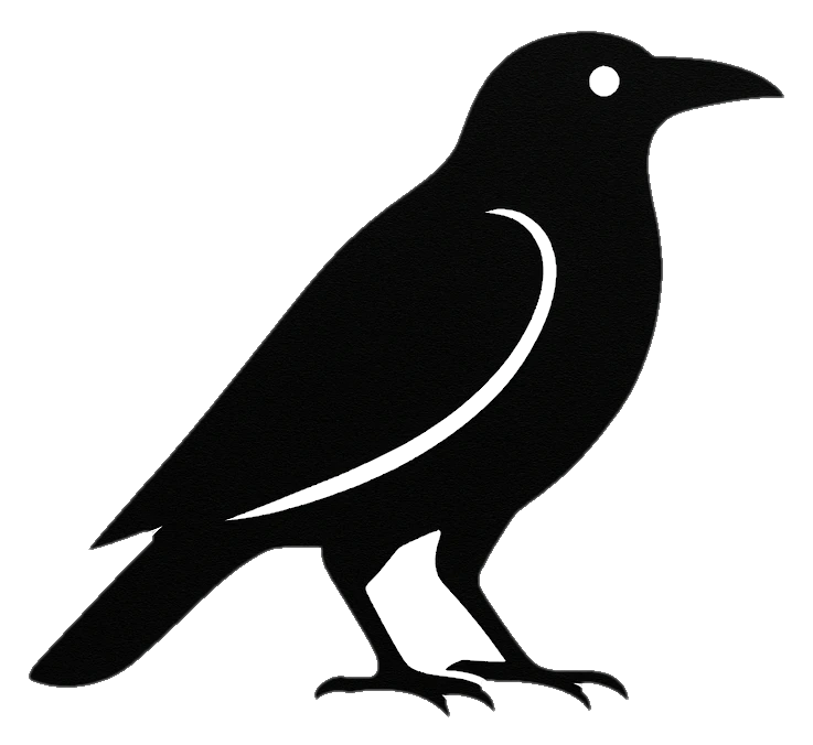 RavenStack logo