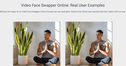 AI Face Swap Video Online Free gallery image