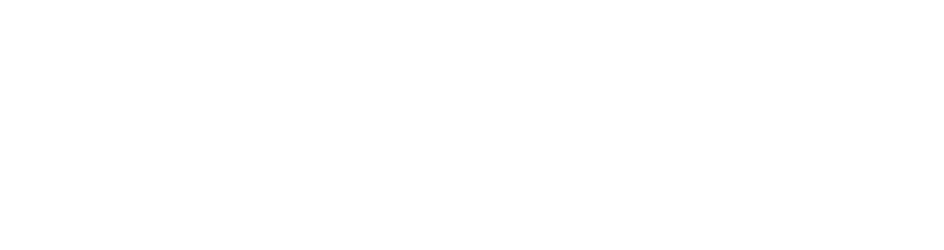 Vitwit
