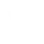 Vitwit