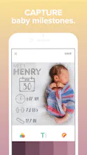 Little Nugget gallery image