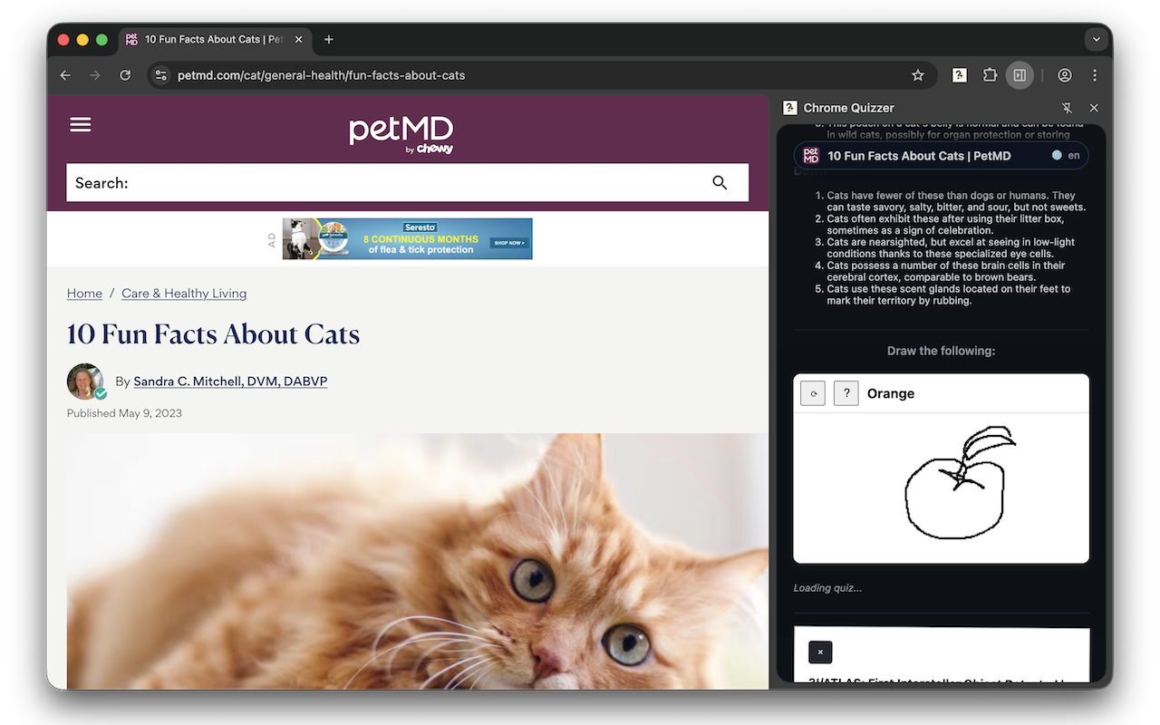 Chrome Quizzer gallery image