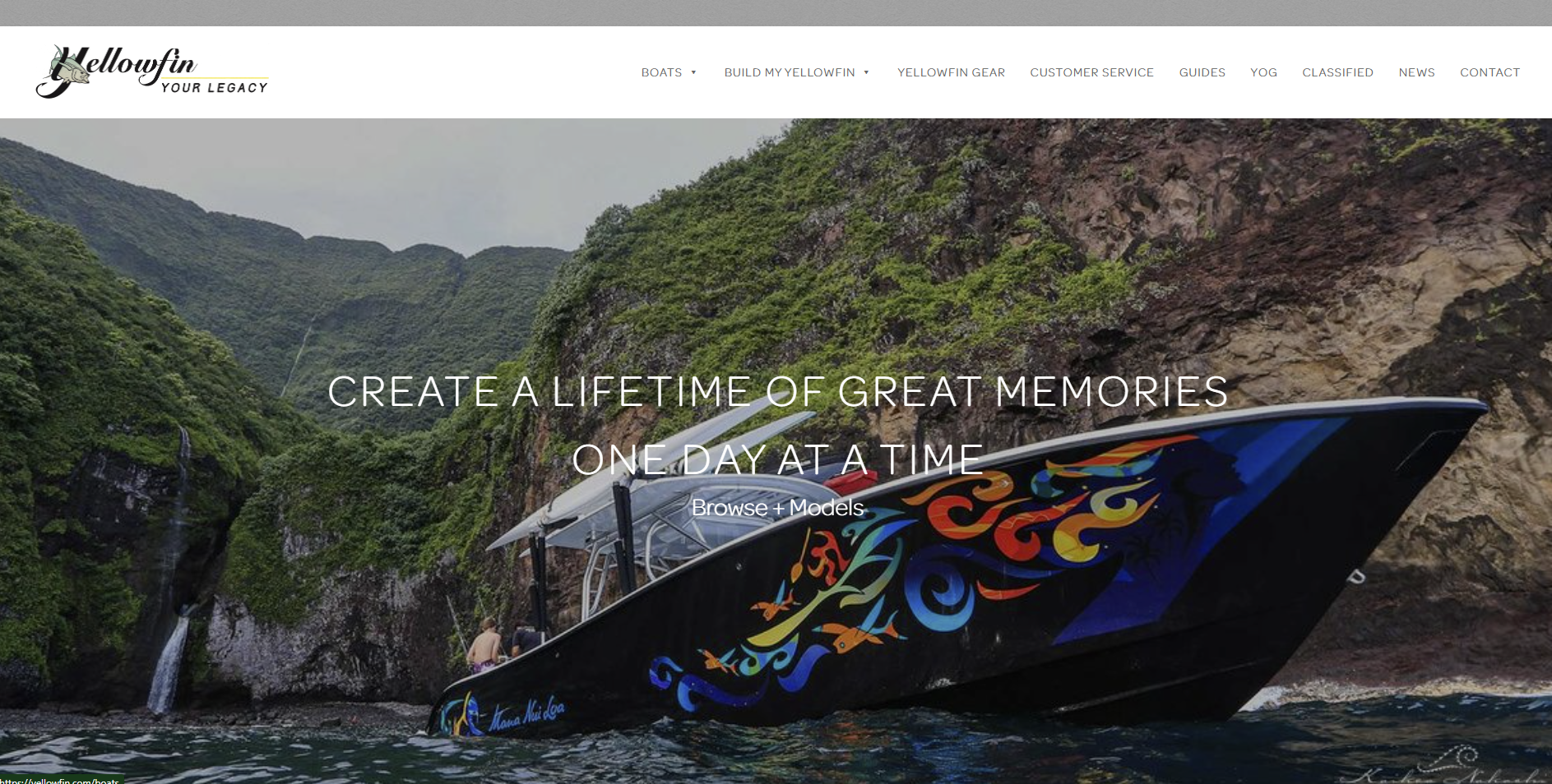 Yellowfin gallery image