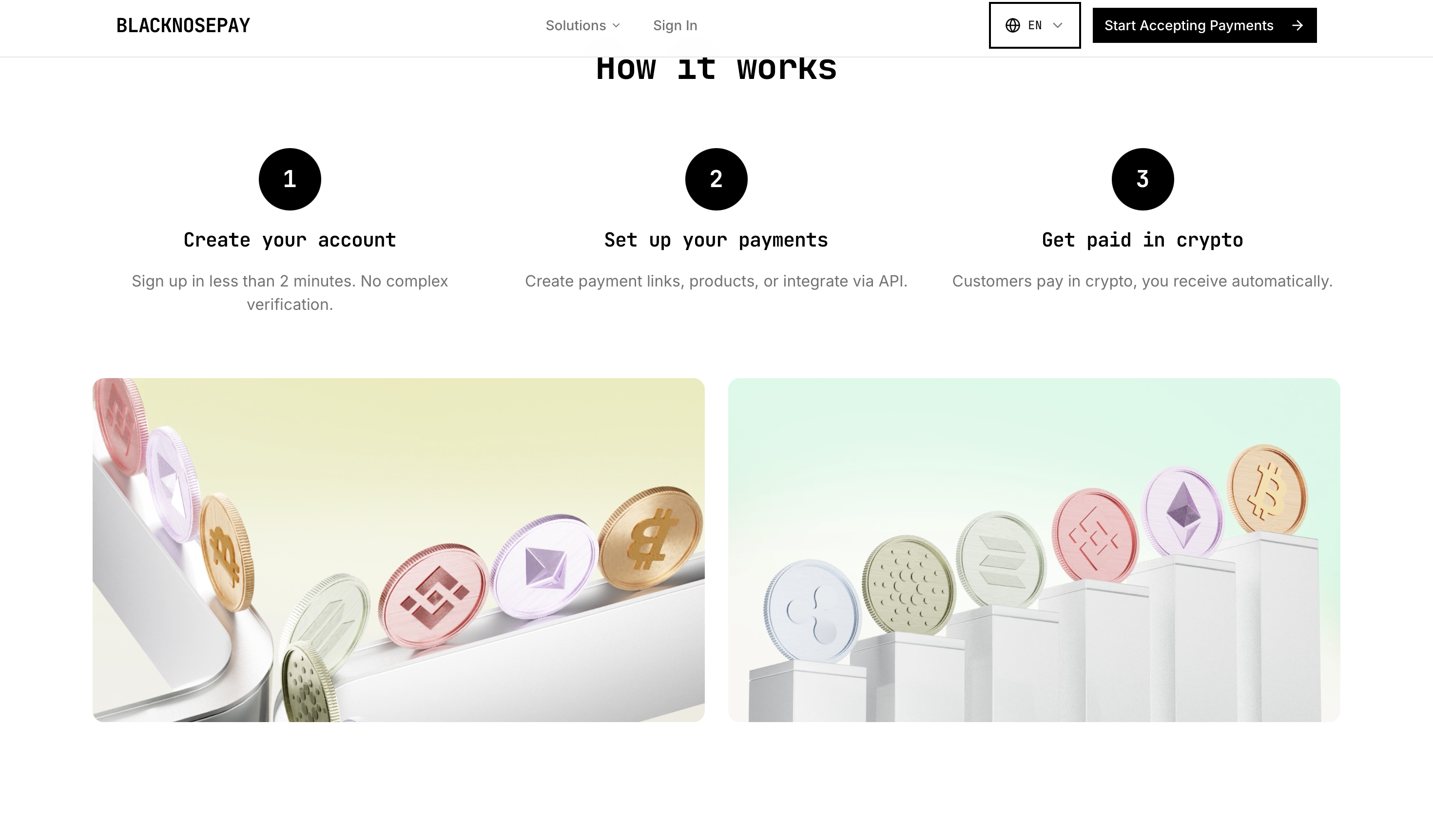 BlackNosePay - Screenshot 4 showing product features and functionality