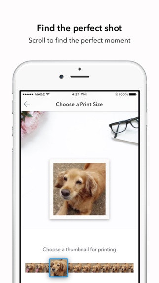 MagePrints gallery image