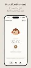 ZenMonkey gallery image