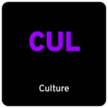 Database Culture Intelligence gallery image