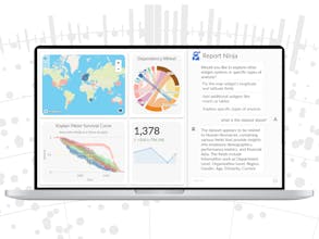 Visokio Instant Dashboard gallery image