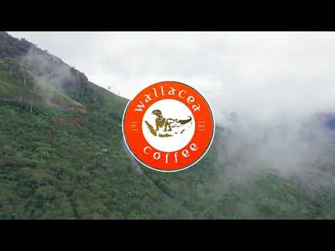 KOPI LUWAK COFFEE (GROUND COFFEE BEANS) gallery image