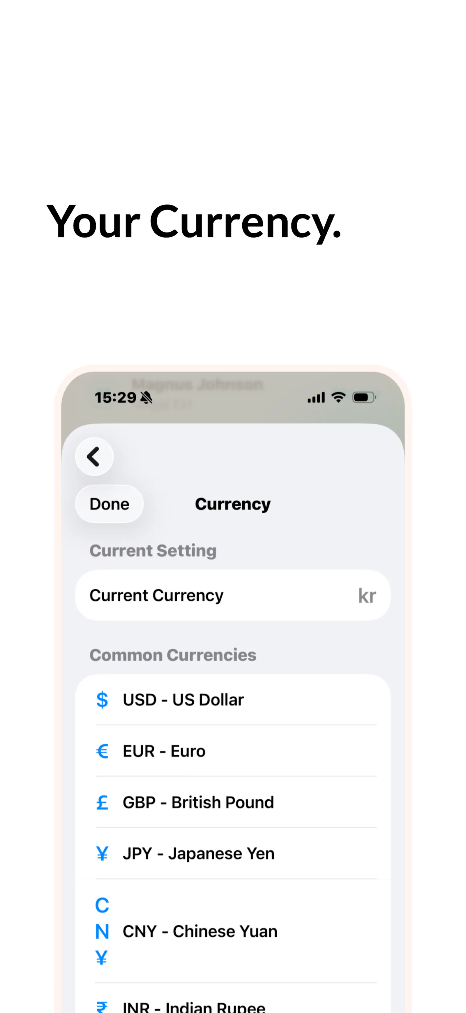 NotaBill Artist screenshot 8
