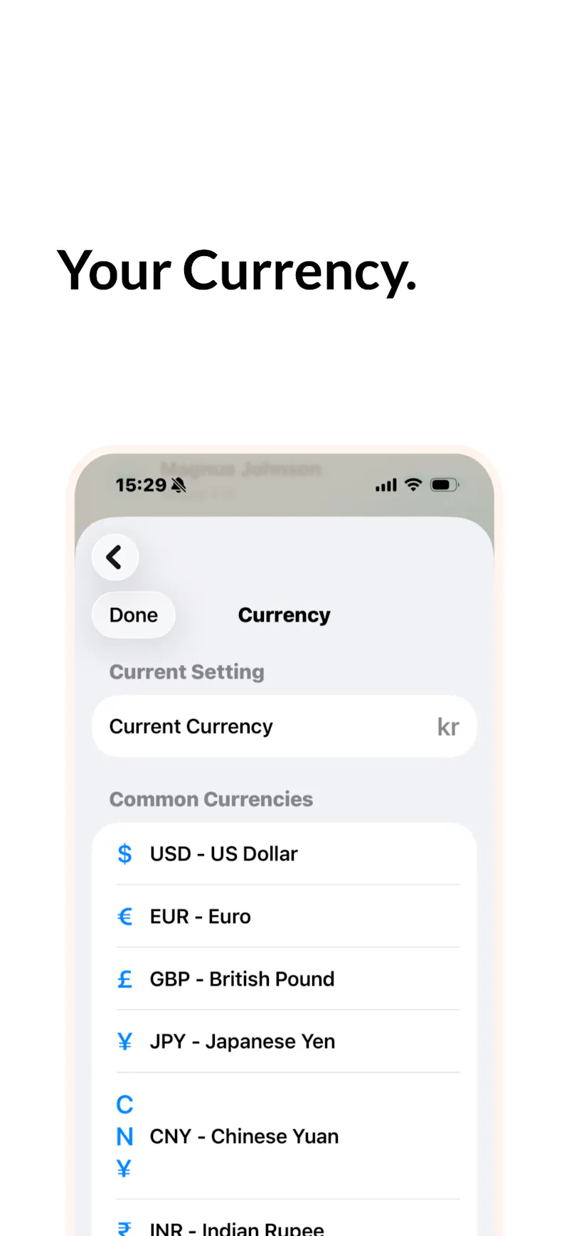 NotaBill Artist screenshot 8