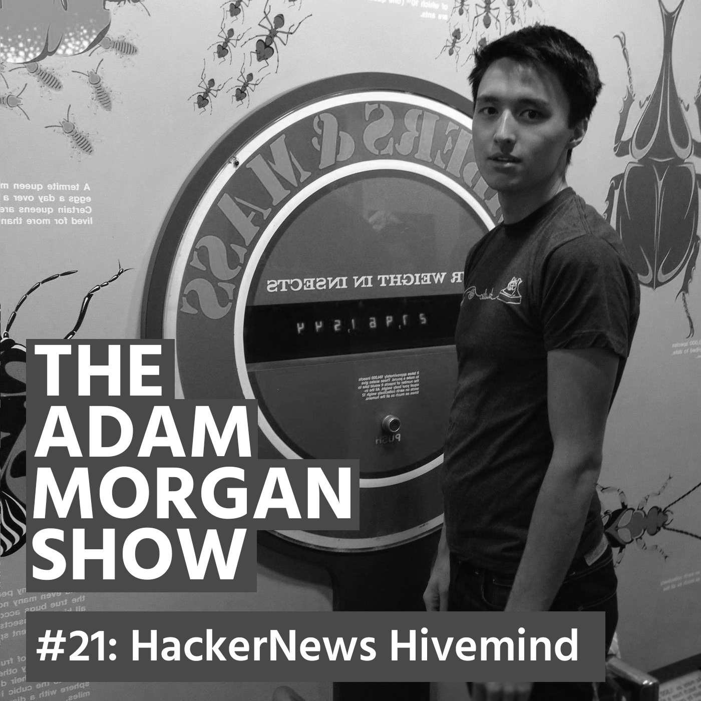 The Adam Morgan Show #21: HackerNews Hivemind gallery image