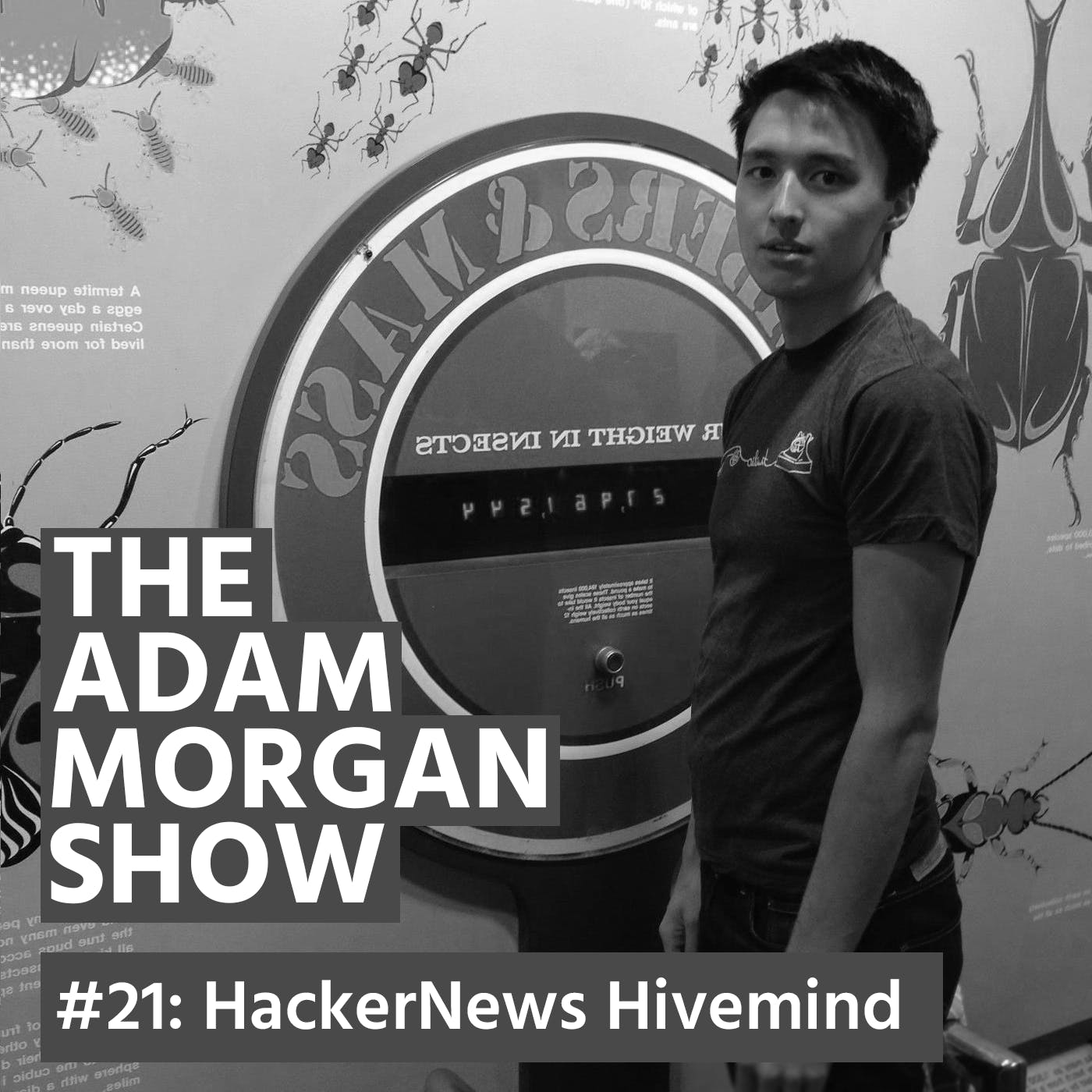The Adam Morgan Show #21: HackerNews Hivemind media 1