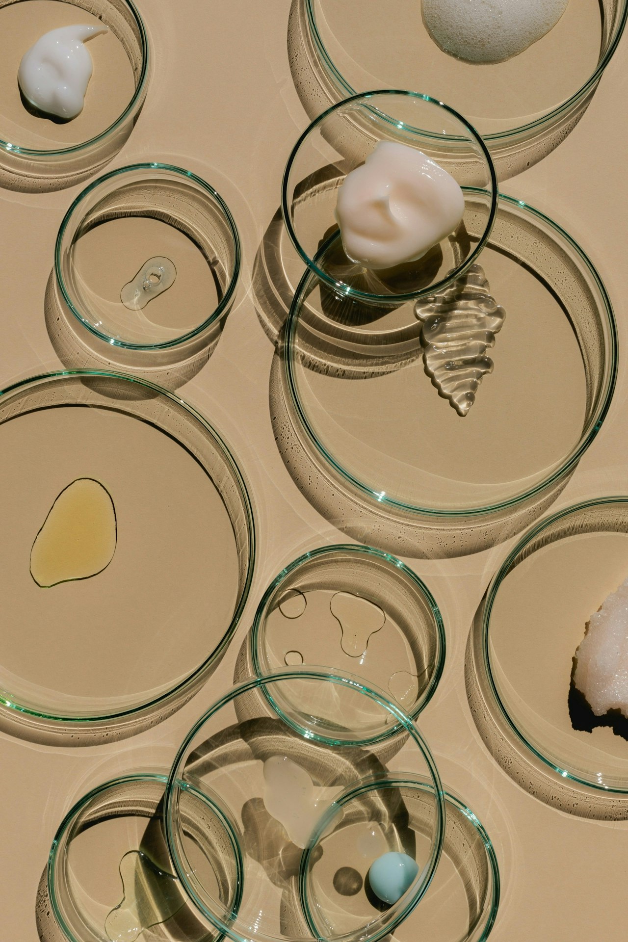 Omniwo gallery image