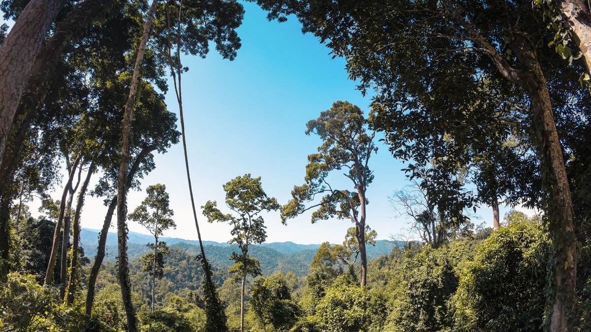 Extreme Nomads gallery image