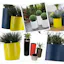 Planters for Plants