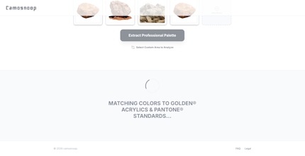 Camosnoop gallery image