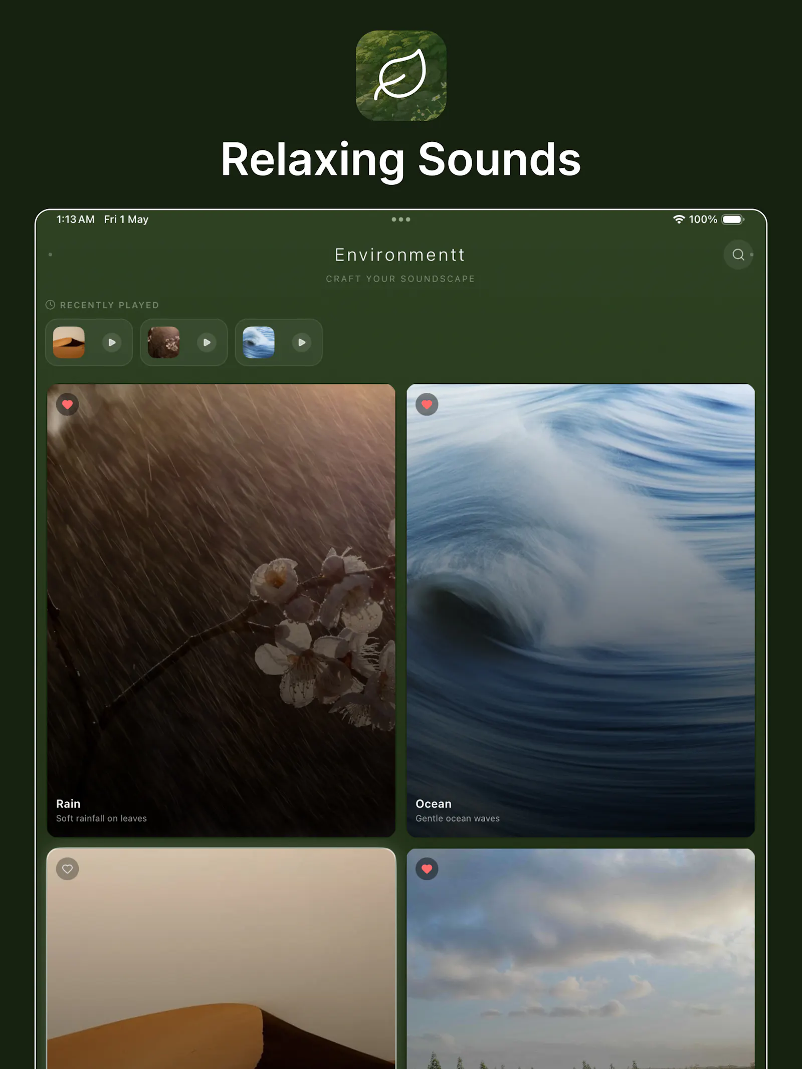 Environmentt screenshot 1