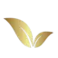 Duguza Pest Control