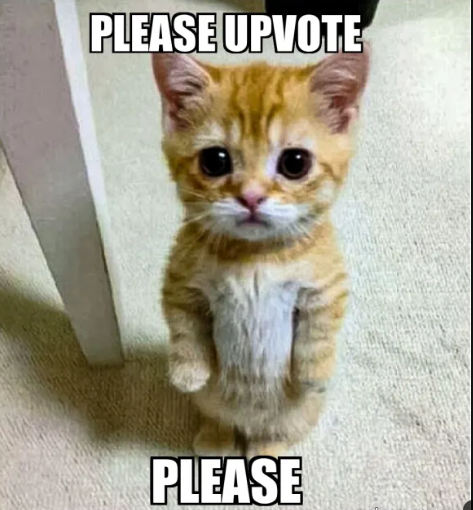 Codereportcard gallery image