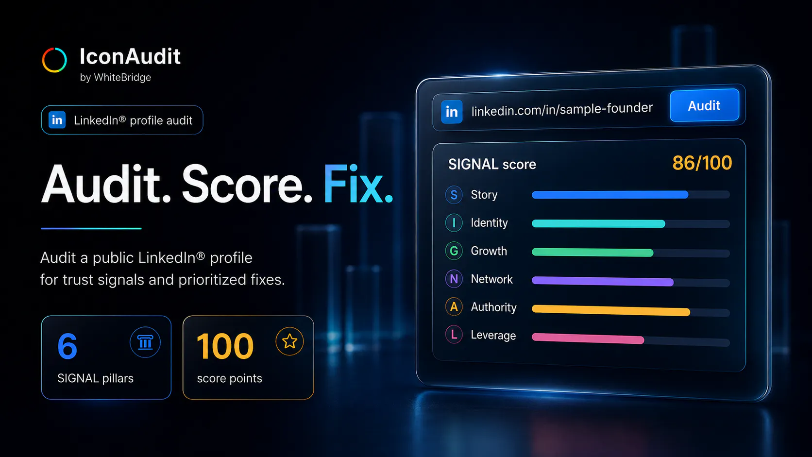 IconAudit 截图