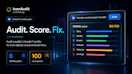 IconAudit