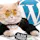 Securing WordPress with HTTPS Course
