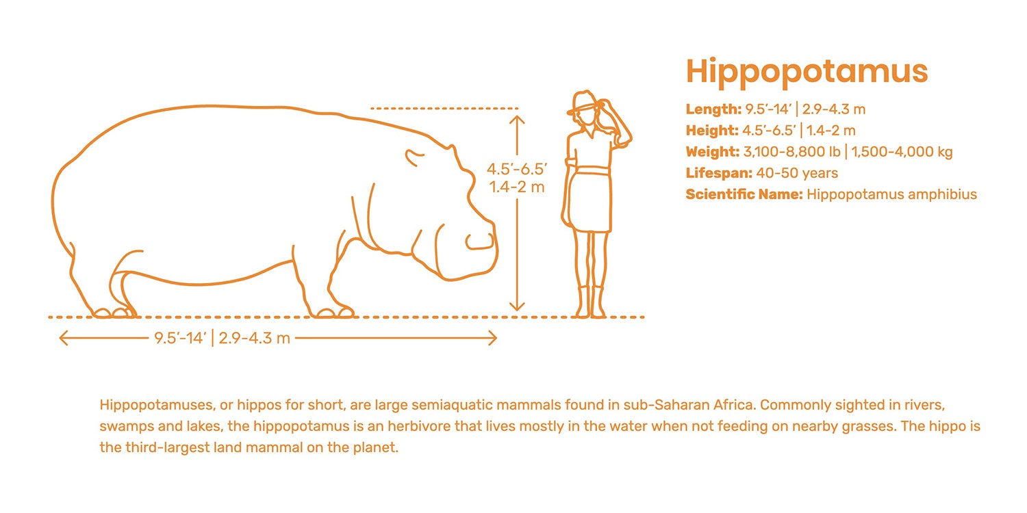 Dimensions.Guide gallery image