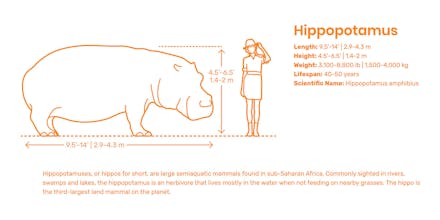 Dimensions.Guide gallery image