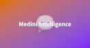 Medini Intelligence