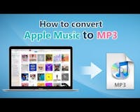 Macsome iTunes Converter for Win media 1