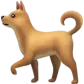 Place Dog