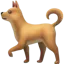 Place Dog